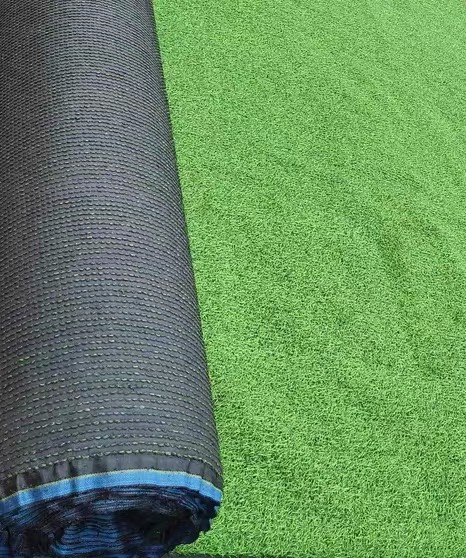 昂进体育案例图片